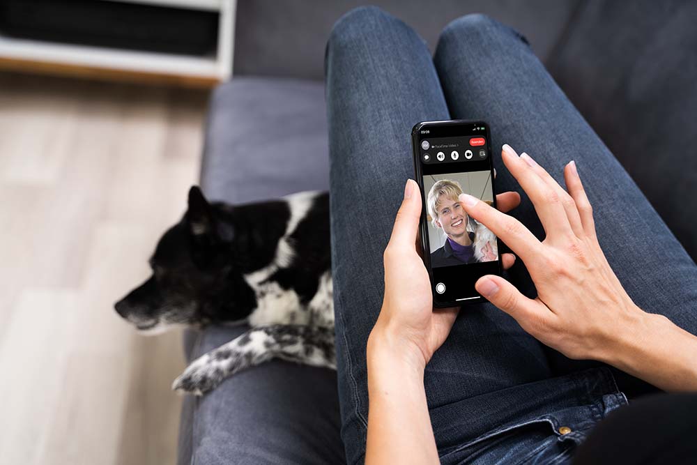 Frau auf Sofa bekommt Fernunterricht von der Hundeschule per Videochat, Facetime